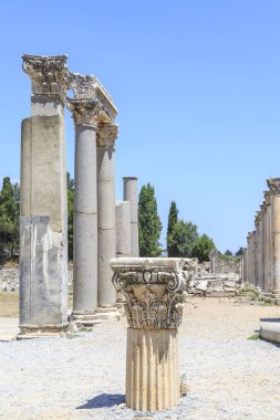 Agora untere Efes, Izmir, Türkiye'de Celsus Kütüphanesi yakınındaki sütununda