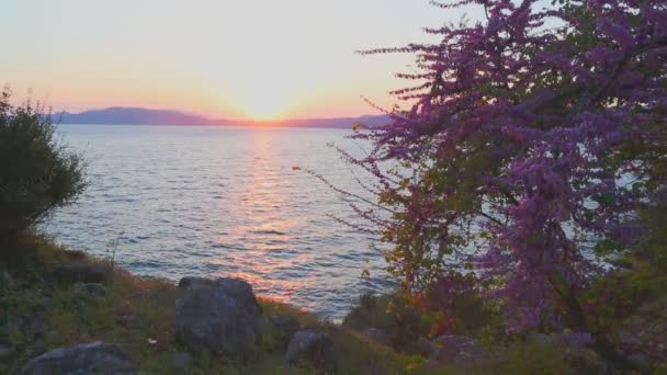 Hora Primavera Com Pôr Sol Perto Área Hisaronu Marmaris Turquia — Vídeo de Stock