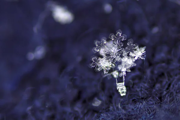 Snow Flake Crystal Blå Konsistens — Stockfoto