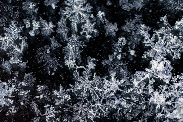 Copos Nieve Macro Imagen Con Fondo Oscuro — Foto de Stock