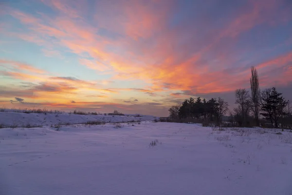Красивий Рожевий Захід Сонця Снігу Ерзурум Сполучені Штати Америки — стокове фото