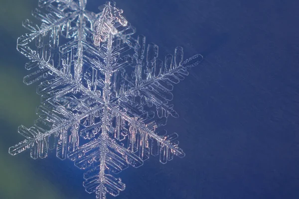 Solo Copo Nieve Sobre Fondo Colorido — Foto de Stock