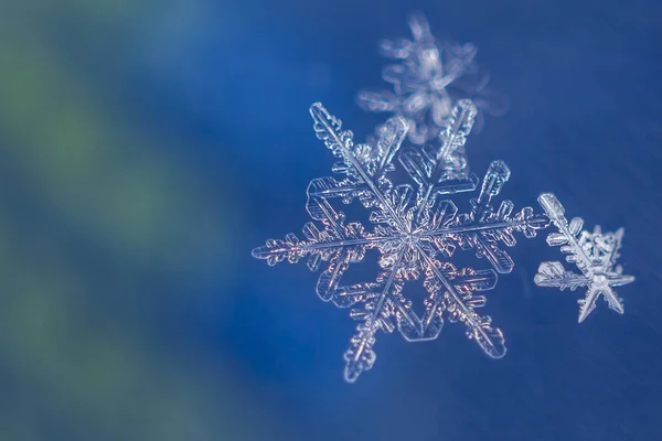 Одинарний Снігопад Синьо Зеленому Фоні — стокове фото