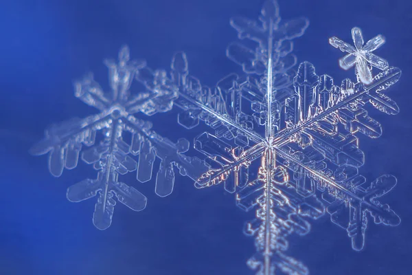 Snöflingor Blå Bakgrund — Stockfoto