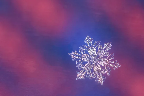 Solo Copo Nieve Sobre Fondo Colorido — Foto de Stock