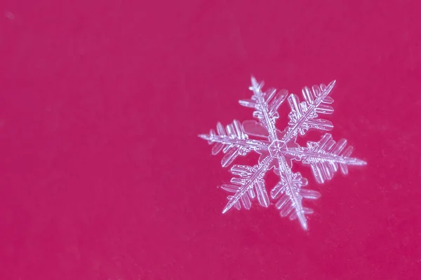 赤の背景に単一の雪のフレーク — ストック写真