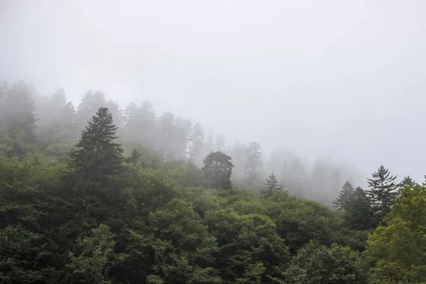 Misty weather on Smoky mountains in North Carolina, Estados Unidos da América — Fotografia de Stock