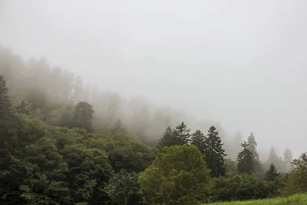 Tempo nebbioso sulle montagne Smoky in North Carolina, Stati Uniti Foto Stock Royalty Free