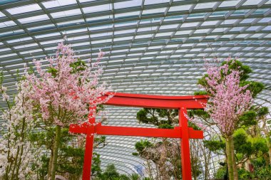 Bay Gardens bahar kiraz çiçekleri