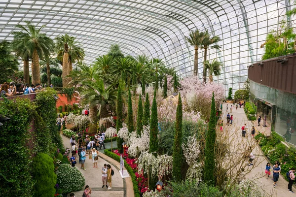 Spring cherry blossoms at Gardens by the Bay — Stock Photo, Image