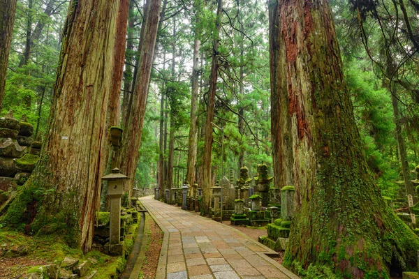 Hory Koya, Japonsko — Stock fotografie