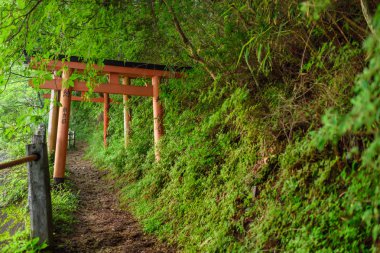 Antik Torii Kapıları
