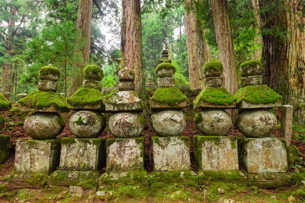 Náhrobní kameny, Koyasan, Japonsko — Stock fotografie