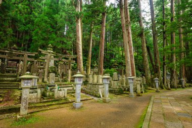 Koyasan'da Okunoin Hac Rotası