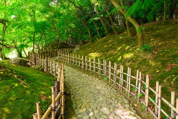 Kamienny chodnik w japońskim ogrodzie — Zdjęcie stockowe