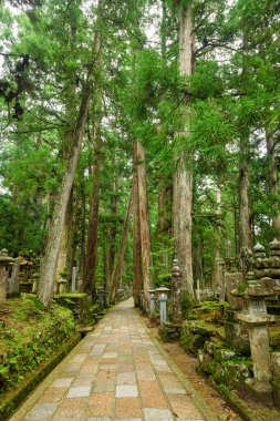 Hac Rotası, Koya Dağı