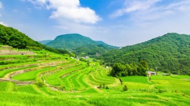 Shodoshima Adası'nda Nakayama Senmaida pirinç terası çeltik tarlaları zaman atlama., Kagawa, Japonya.