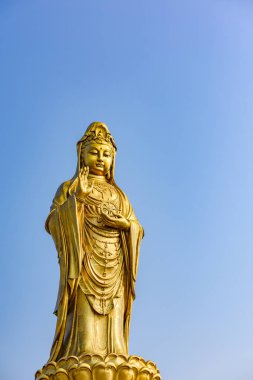 Altın Guan Yin Buddha Heykeli, Zhejiang, Çin