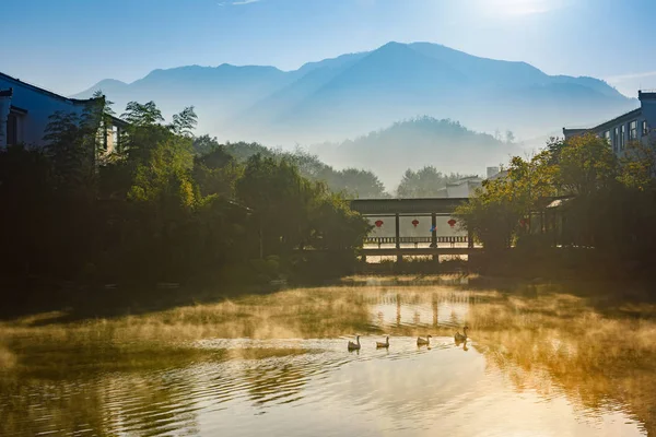 Enten schwimmen bei Sonnenaufgang über Teich — Stockfoto