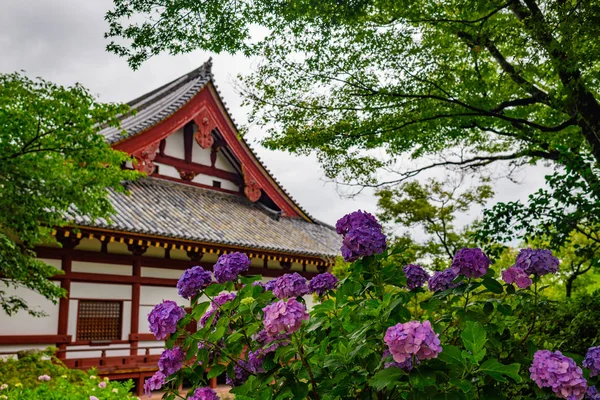 Olika hortensia blommor, yatadera Temple, Nara, Japan — Stockfoto