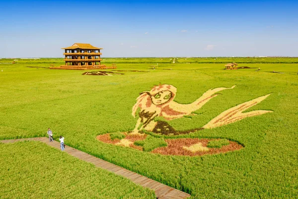 Panjin paddy rice fields near Red Beach, Liaoning, China — Stock Photo, Image