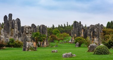 Shilin Stone Ormanı, Yunnan, Çin