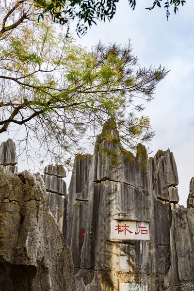 Шолінський кам "яний ліс (Юньнань, Китай). — стокове фото