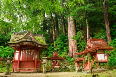 Ormandaki küçük türbeler, Tanzan Jinja Tapınağı, Nara, Japa