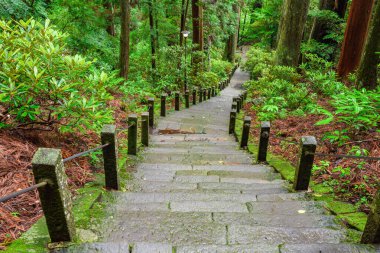 Ormanda, Japonya 'da uzun merdivenler