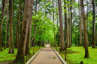Ganjin 'in mezarlığına giden yol, Toshodaiji Tapınağı, Nara