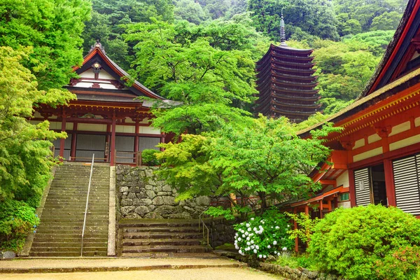 Sanktuarium Tanzan Jinja, Nara, Japonia — Zdjęcie stockowe