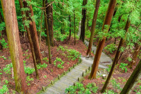 Długie schody w lesie, Japonia — Zdjęcie stockowe