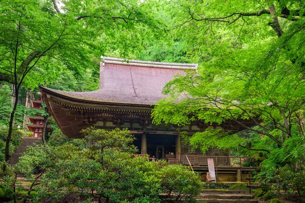 Muroji Temple Kondo Hall, Nara, Japonia — Zdjęcie stockowe