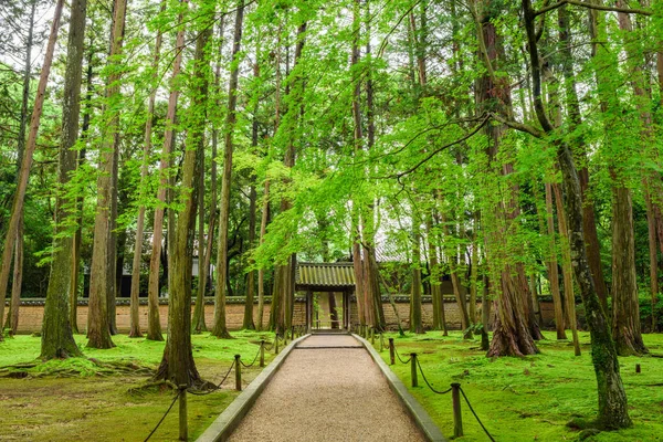 Estrada para o cemitério de Ganjin, Templo de Toshodaiji, Nara — Fotografia de Stock