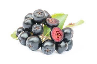 Beyaz arka plan üzerinde izole olgun Chokeberry veya Aronia melanocarpa. Kesit.
