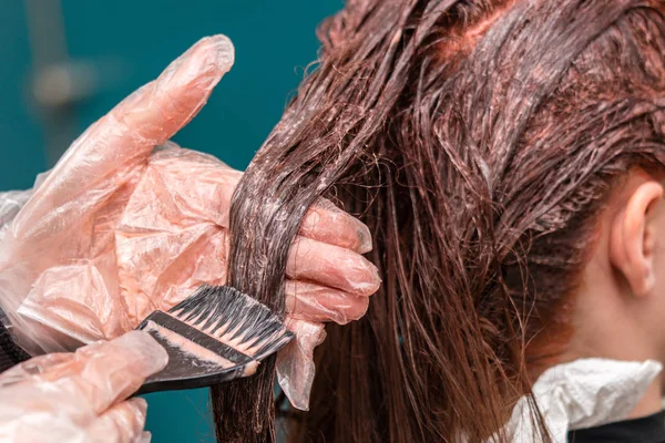 Επαγγελματία Κομμωτή Που Εφαρμόζουν Βαφή Για Μαλλιά Του Πελάτη — Φωτογραφία Αρχείου