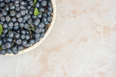 Taze chokeberry arka plan (Aronia melanocarpa) seramik kopya ile üzerinde senin için metin alanı.