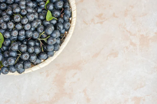 Frischer Preiselbeerhintergrund Aronia Melanocarpa Auf Keramik Mit Kopierplatz Für Ihren — Stockfoto