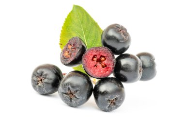 Beyaz arka plan üzerinde izole yaprak chokeberry veya Aronia melanocarpa. Kesit.