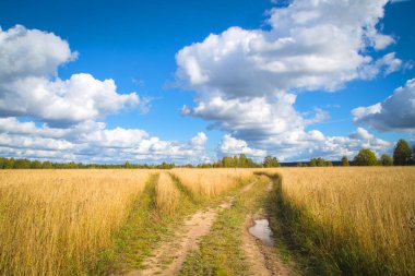 Güzel sonbahar yatay beyaz bulutlar. Kırsal yer. Panorama. Açık mavi gökyüzü. Ağaçlar yeşil ve sarı. Mor yaprakları ağaçların üzerinde. Sarı solduran çim alanları.