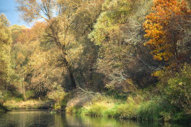 Güzel sonbahar yatay bir nehir kırsal alanda. Açık mavi gökyüzü ile beyaz bulutlar. Ağaçlar yeşil ve sarı. Mor yaprakları ağaçların üzerinde. Sarı solduran çim alanları.