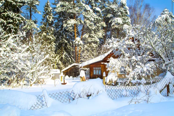 Beautiful winter landscape with snow-covered trees and a house in the snow. Large snow-covered pine trees. Snow-covered fence.Lots of snow. Clear Sunny frosty day. Christmas mood.