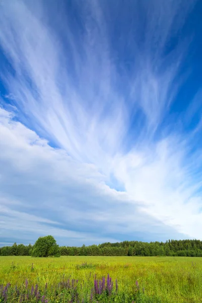 Прекрасне блакитне небо з білими вишуканими хмарами — стокове фото