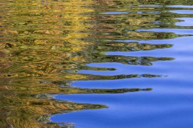 Sonbahar bir nehir - Ontario, Kanada ağaçta yansıması