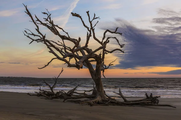 Схід Сонця Пляжі Driftwod Джекілл Айленді Штат Джорджія — стокове фото