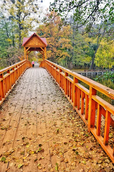 Puente con dosel y techo triangular sobre el lago. Las hojas amarillas yacen en un puente de madera. Coloridos árboles verdes rojos amarillos . — Foto de Stock