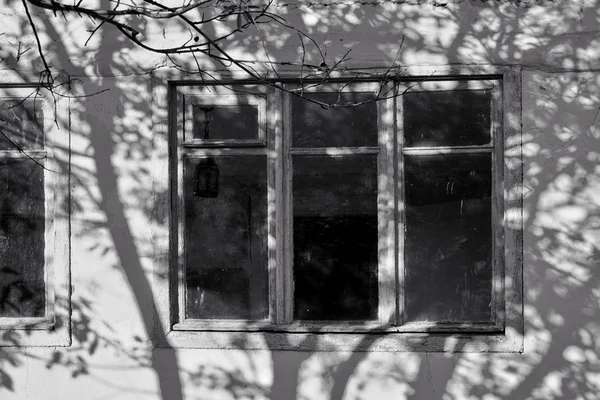 Old house with steps upstairs, window, shadows and lights. The silhouette of the tree is reflected on the wall.