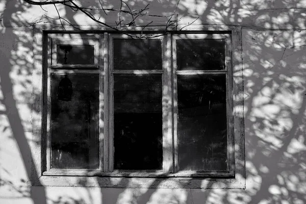 Antigua casa con escaleras arriba, ventana, sombras y luces. La silueta del árbol se refleja en la pared . — Foto de Stock