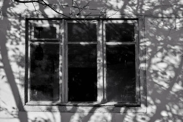 Maison ancienne avec marches à l'étage, fenêtre, ombres et lumières. La silhouette de l'arbre se reflète sur le mur . — Photo