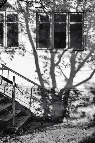 Maison ancienne avec marches à l'étage, fenêtre, ombres et lumières. La silhouette de l'arbre se reflète sur le mur . — Photo